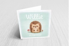 Lief egeltje Lief egeltje